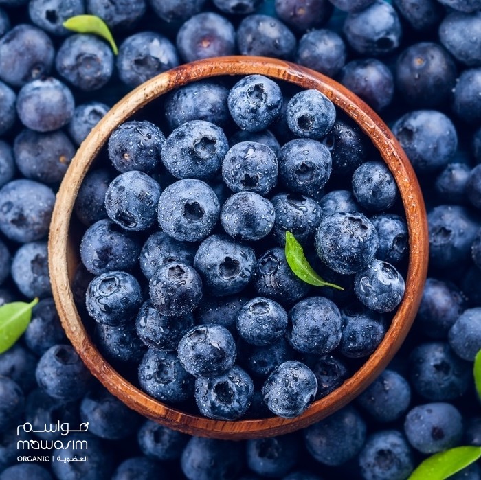 Organic Blueberries from Spain &amp; Portugal are now available at Mawasim Hypermarket. Half a cup of blueberries contains 44 calories only.
Come &amp; visit us now! tiny.cc/uj62bz #MawasimOrganic