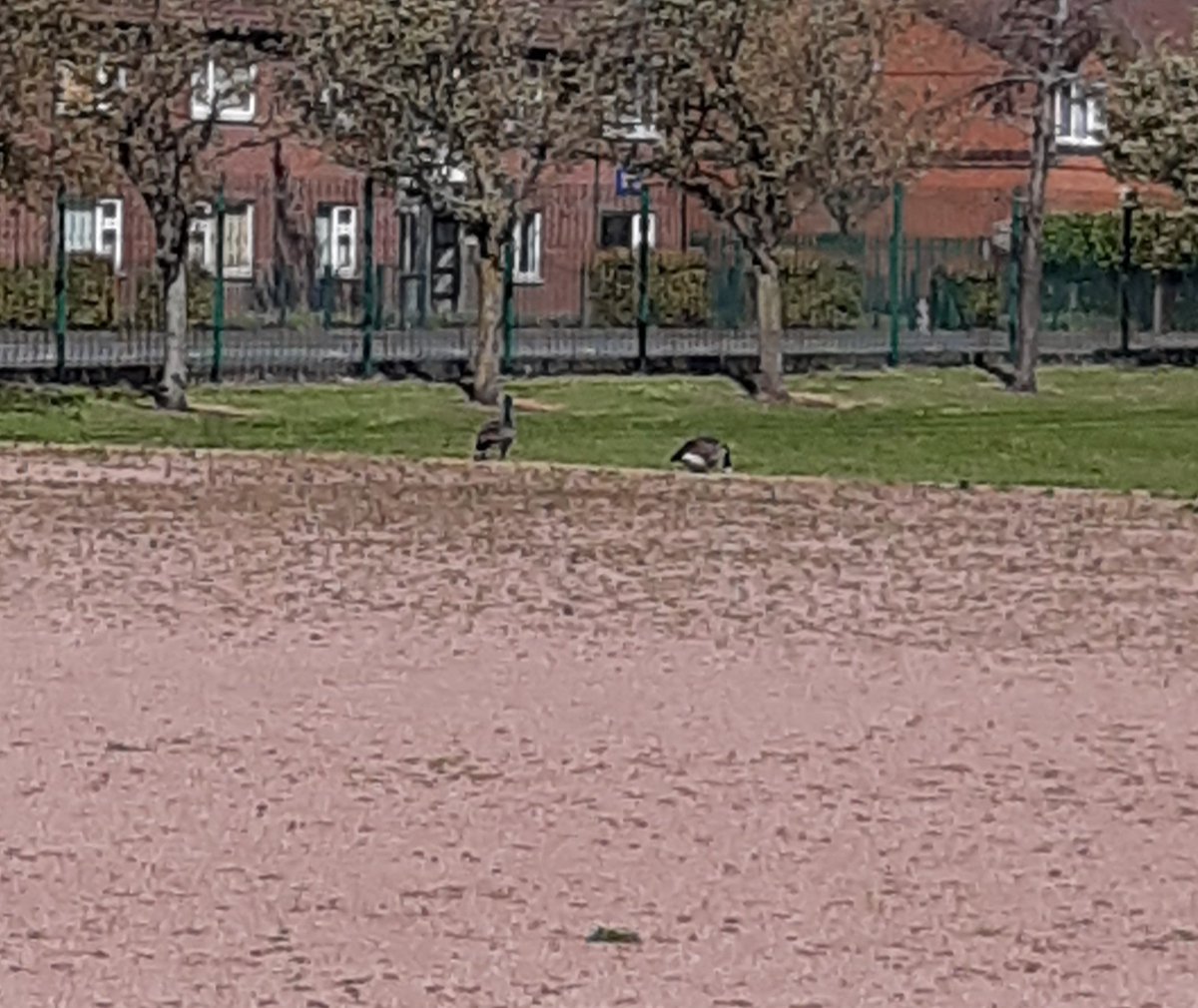 ASCC Learning Support tweet media