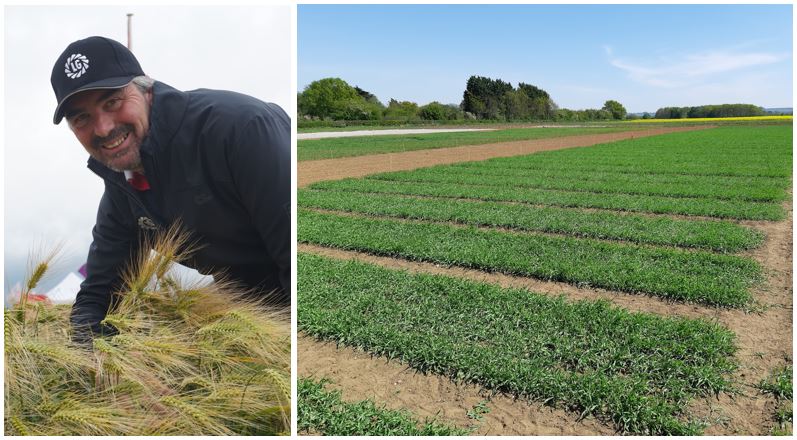 LGSeedsUK's tweet photo. "Maintain high tiller number in your spring barley, for max yield!" ...advises LG's arable technical manager, Ron Granger @reglimagrain
More info ➡️ https://t.co/UHllfdnGCC #LGTips
#SpringBarleyAgRONomy 🌾 https://t.co/LSpuV2EZh3