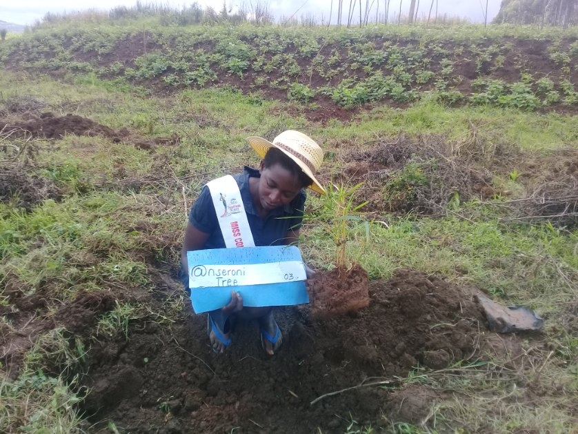 MourineAsiimwe's tweet photo. I plant a tree for every new follower. No 3
@nseroni
#WorldEnvironmentaDay #missconservationKigezi #climateaction #plantaPlantHope >10million trees in Ug https://t.co/i7glmt6hur