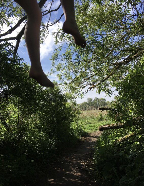 BMS House System tweet media