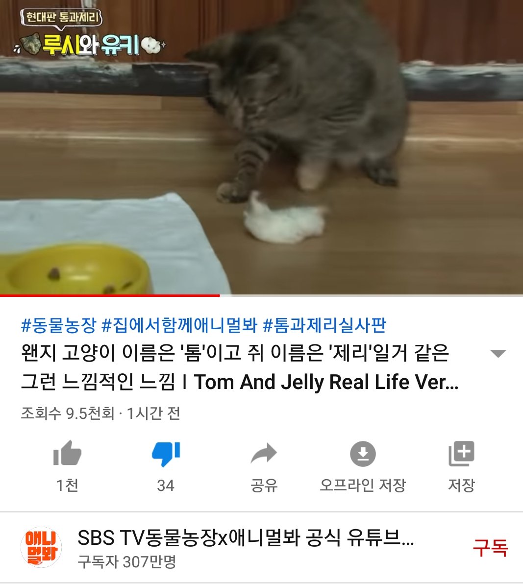 lolovolol2's tweet photo. 동물농장 애니멀봐 영상 올린분 이게 웃고 지나갈일이라고 생각해서 올리셨겠죠?햄스터는 영상 처음부터 끝까지 온몸으로 싫다고 하고있는데 고양이가 다가와서 물리고 툭툭 치고 하는데 고양이만 동물입니까?영향력도 큰 채널이 나서서 햄스터 학대영상을 올리는데 그러시면 안되죠. 동물학대라고요 https://t.co/NKTef3ezp0