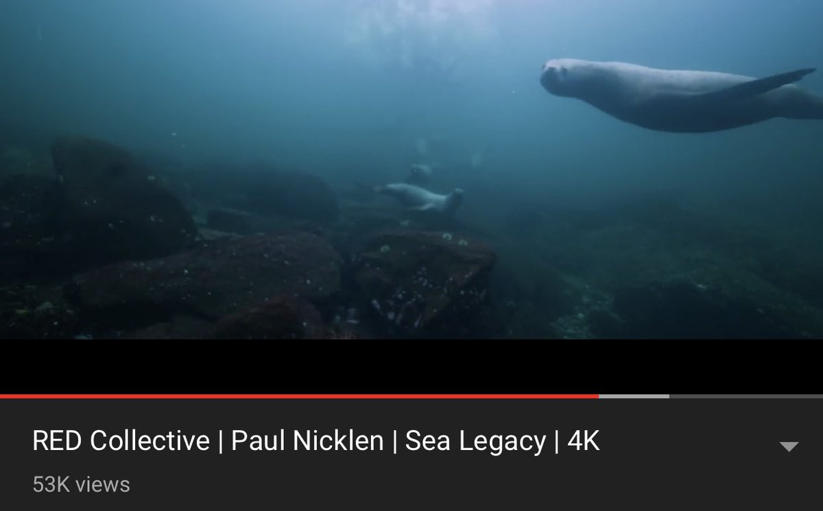 This is an incredible watch.. so inspiring! <a href="/PaulNicklen/">Paul Nicklen</a> <a href="/redcamerausers/">Red Camera Users</a> #wildlifefilmaking youtu.be/AynwM6tArWA