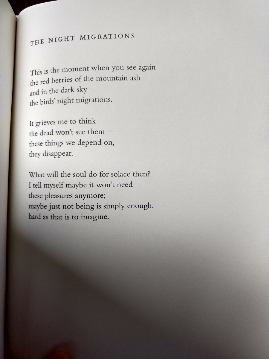 #SpringAThon Day 02: Bird
<a href="/spring_thon/">SpringAThon</a>