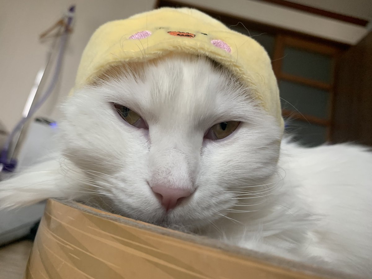 어린이날 아조씨....