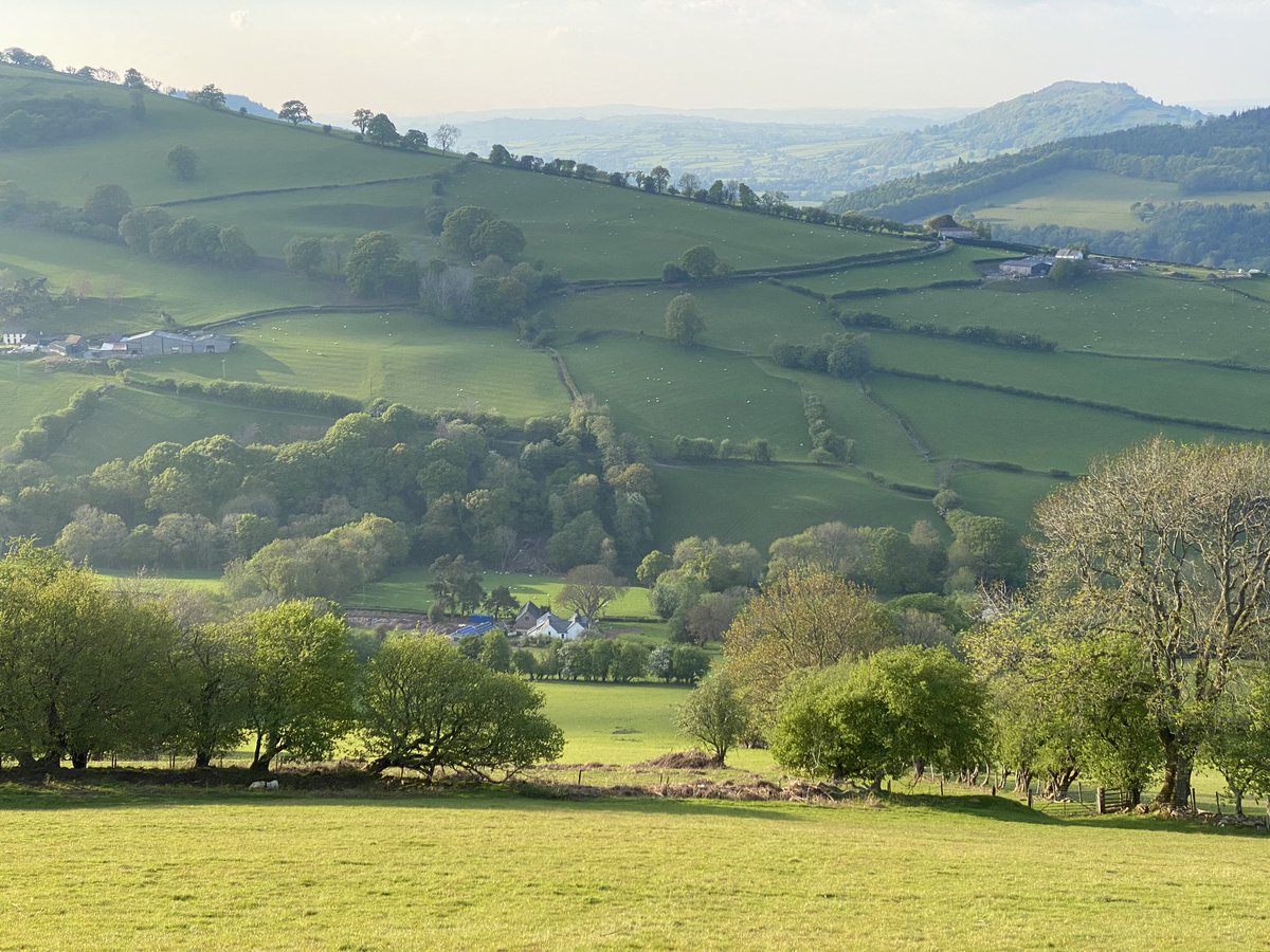 hollos49's tweet photo. The view from our tree is simply stunning #breconbeacons #uskvalley #dyffryncrawnon #stayhealthy https://t.co/4dCJhdXOxJ