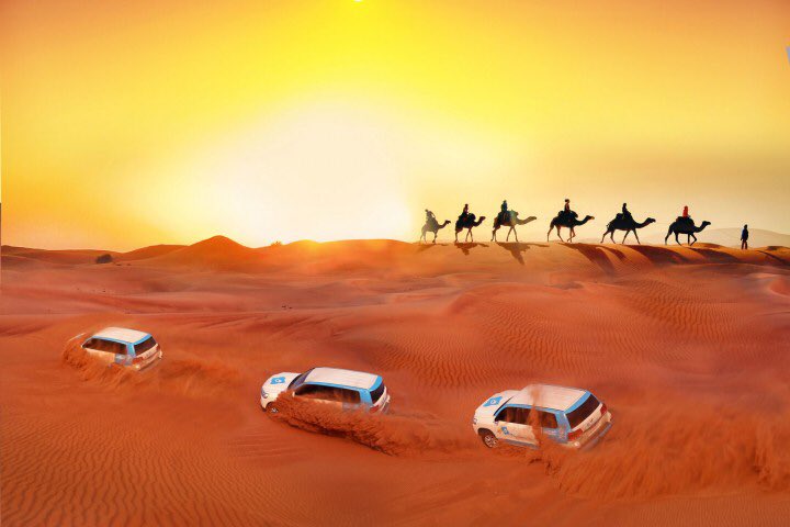 ShowMeTour's tweet image. Sahara - once in a lifetime experiences