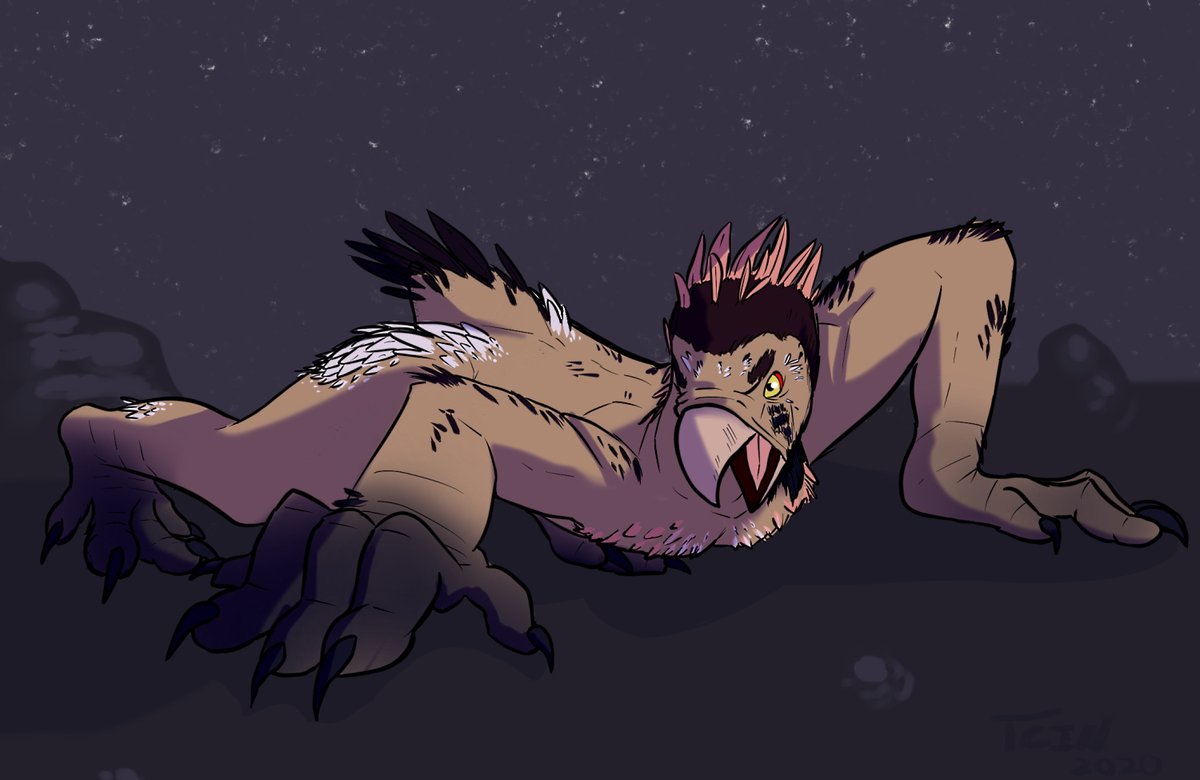 thecoast_safe's tweet photo. Some sort of pissed-off werevulture.
#tftuesday #tfeveryday #transfur #werebird #werebirds https://t.co/NGR4ZlOWhu