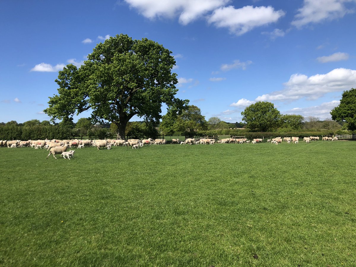 George Thompson tweet media