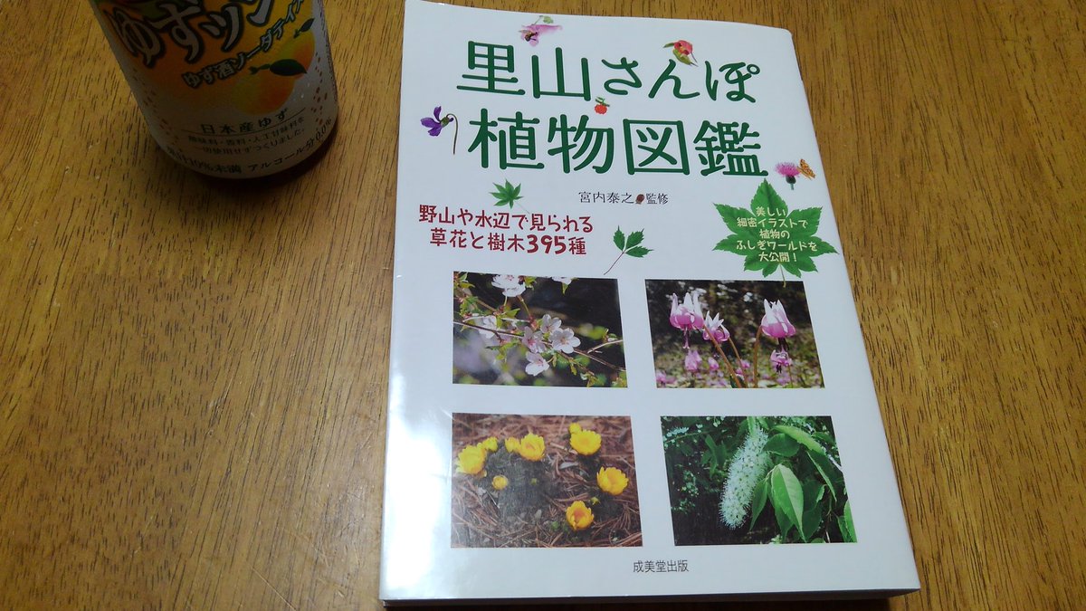 Twitter पर かもす むかし自然観察指導員の交流会で この 里山さんぽ植物図鑑 という本がいいよと教えてもらったので 改めて読むと近場にいる 植物はほぼ全てのっていてエピソードも豊富で面白いです 山好きな方はこれを機会に植物にも詳しくなるのはいかがで