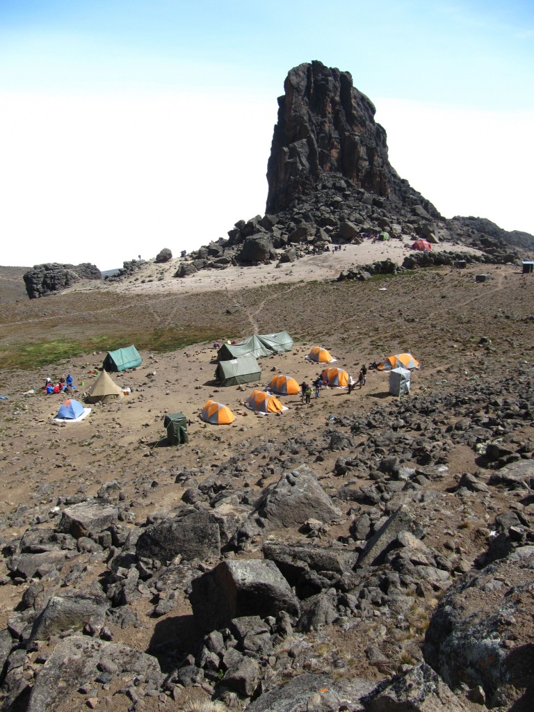 Trekking_tours's tweet photo. Looking for 7 day #Lemosho #Route, then visit https://t.co/9U50ksgXZq to reach the #Roof of #Africa. The #trek begins at #Londorossi #Gate, located in the #western base of #mountain, within its lush, #fertile #rainforest. https://t.co/8CvYlPiZ6o