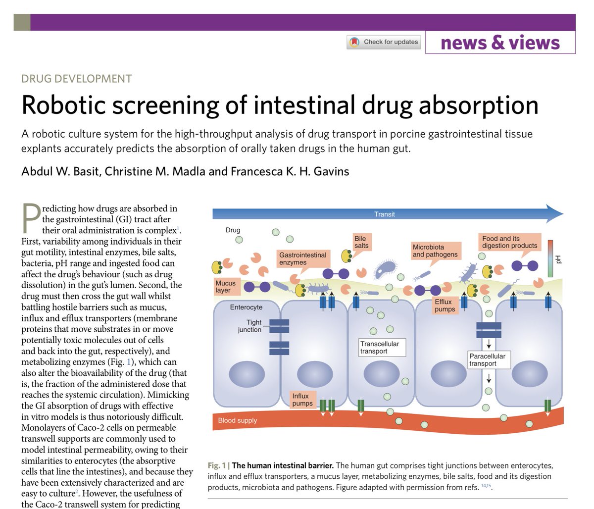 natBME's tweet photo. A robotic culture system for the high-throughput analysis of drug transport in porcine gastrointestinal tissue explants accurately predicts the absorption of orally taken drugs in the human gut.

https://t.co/1vUGWZBZDz [N&amp;V]
https://t.co/qSzUyKNFMv [Paper] https://t.co/EapvOu49X3
