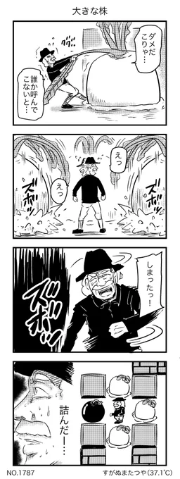 大きな株 