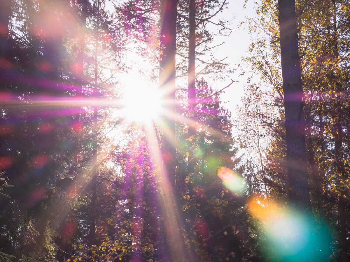 SeeEventsLtd's tweet photo. Mindfulness can help with stress and anxiety. If it feels like your head won’t switch off, try and notice things in the moment. Use your senses. Take time to pause. #wellbeing #mindfulness #timetobreathe #tipsforselfcare #eventprofs #wellbeingevents #nature #justbe https://t.co/XcUs5g53fQ