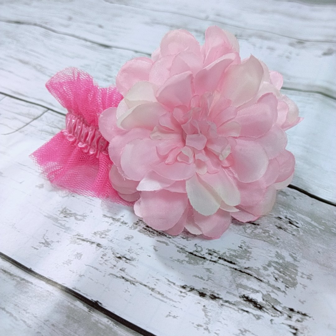 99fdjS's tweet photo. 彈性圈部份
​Fashion pet Grooming products
​cat dog elastic ring pet accessories

​​My store 
​https://t.co/meNJhf6GHD
​
​#Beaty #pets #Accessories #dogs #cats #Petsaccessories
​#ties #bows #dogties #dogbows #catties #catbows https://t.co/an3THYkm2K