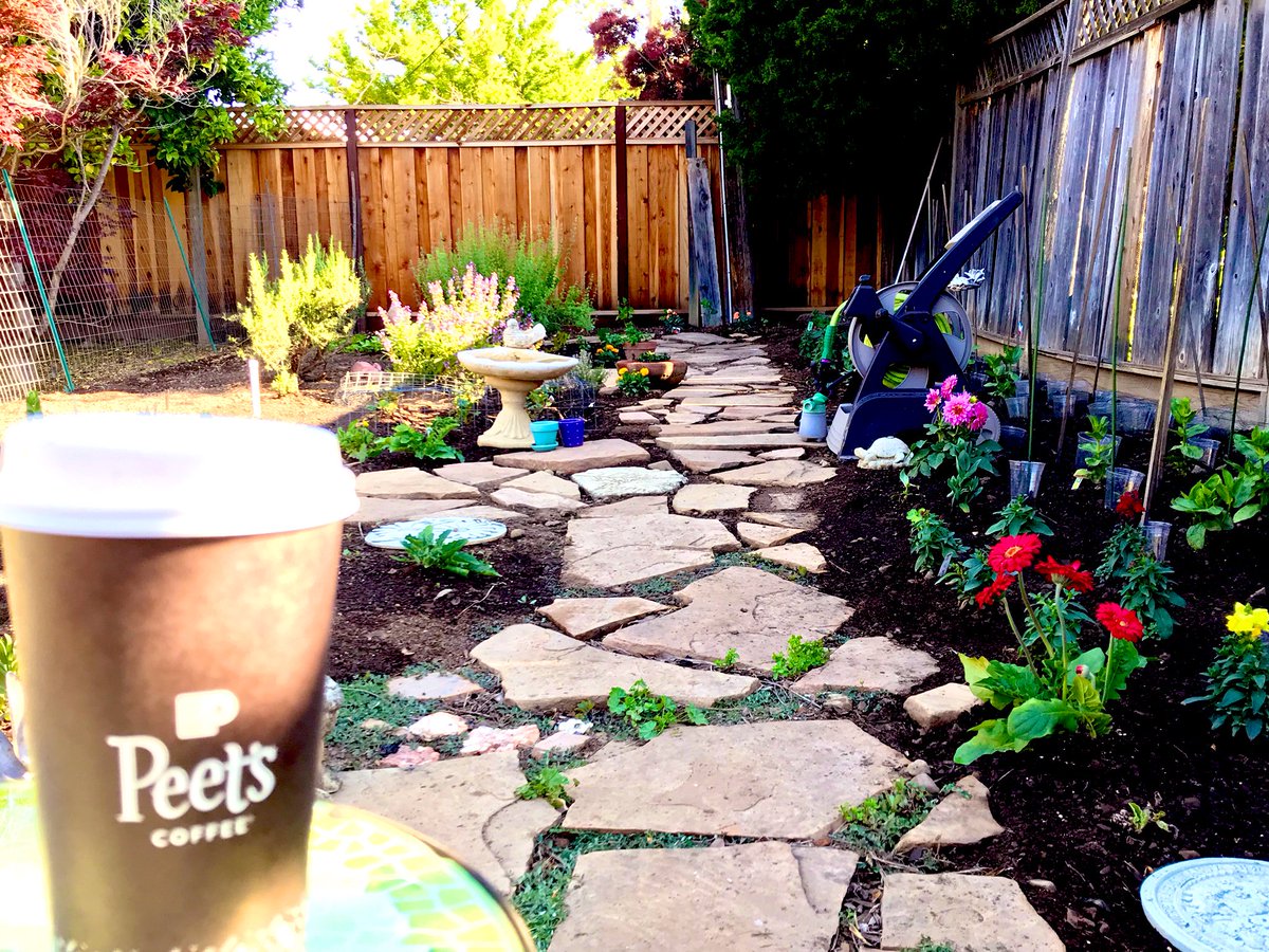 Teresa Codemo tweet media