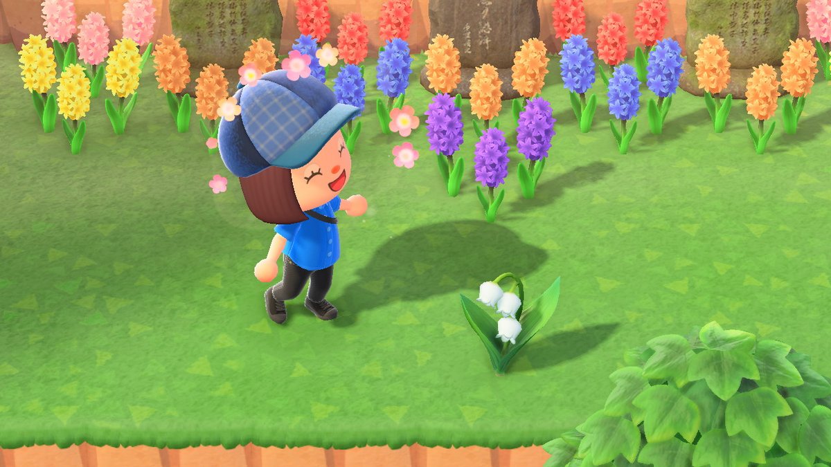 Luinalda's tweet photo. OMG, ein Maiglöckchen! Das müsste ja bedeuten, dass ich die 5 Sterne erreicht habe. \o/ #Tag46 #AnimalCrossing #ACNH #NintendoSwitch https://t.co/AGEYkhgDkz