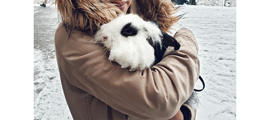 FriendsArthur's tweet photo. Last winter we had the opportunity to show our Panda the snow. We put on her harness and put her new jacket and then went downstairs.  #angorabunny #angorarabbit #bunny #bunnygirl #bunnylife #bunnyoftheday #firstsnow #outside #petbunny #petrabbit #rabbit # https://t.co/yiarRm3Uuj https://t.co/1R6mW7xzBn