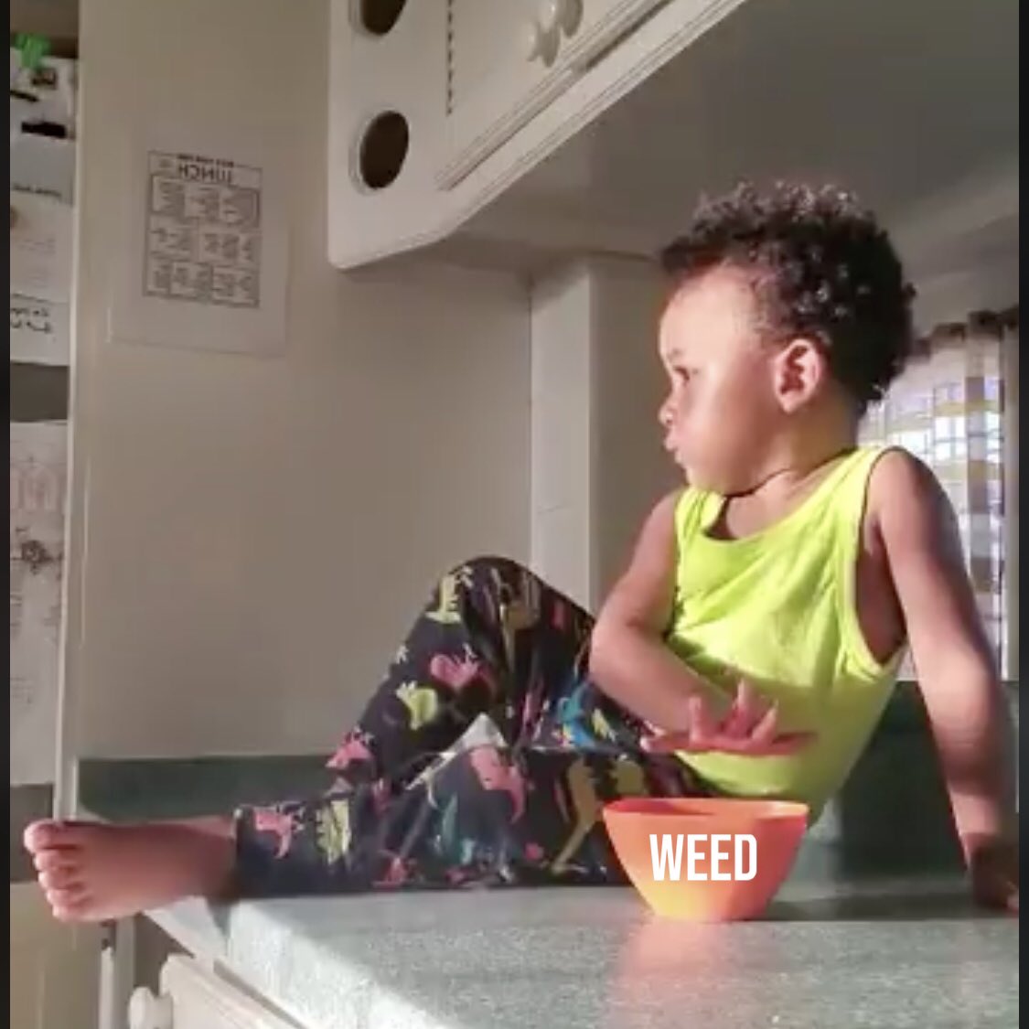 samiperspective's tweet photo. @thevisionari_ me, lately https://t.co/a1hWQgZpJ1