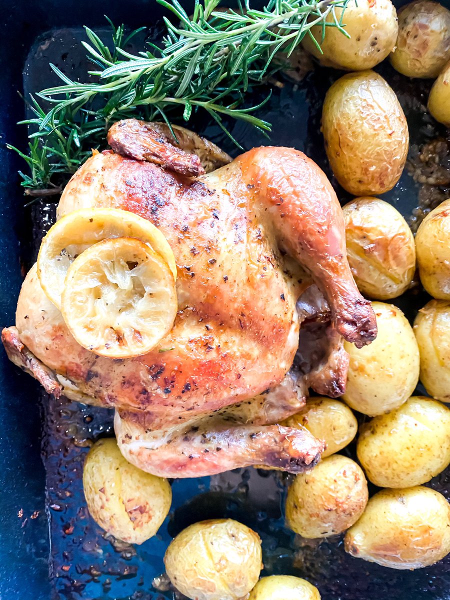 5 months of not eating meat/chicken/fish 🥂
I happily roasted this for the family and had vegetable soup instead.