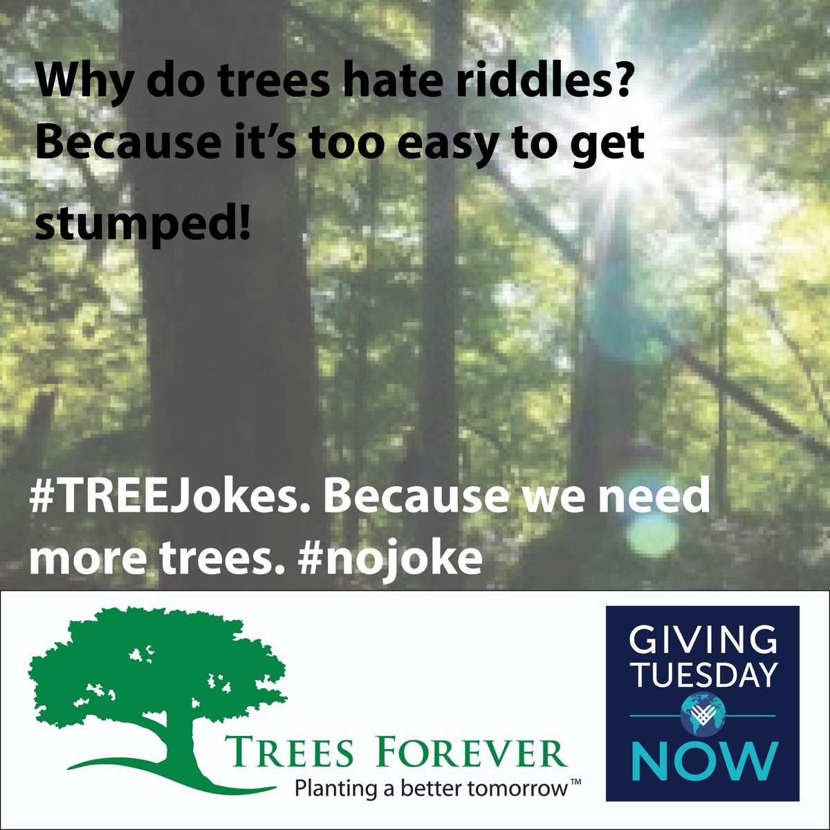 Trees_Forever's tweet photo. #treejokes. Because we need more #trees. #nojoke. For #givingtuesdaynow please give at https://t.co/h23L0fh8FH https://t.co/TJNHbGAS4Q