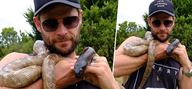 ชั้นโดนงูรัด