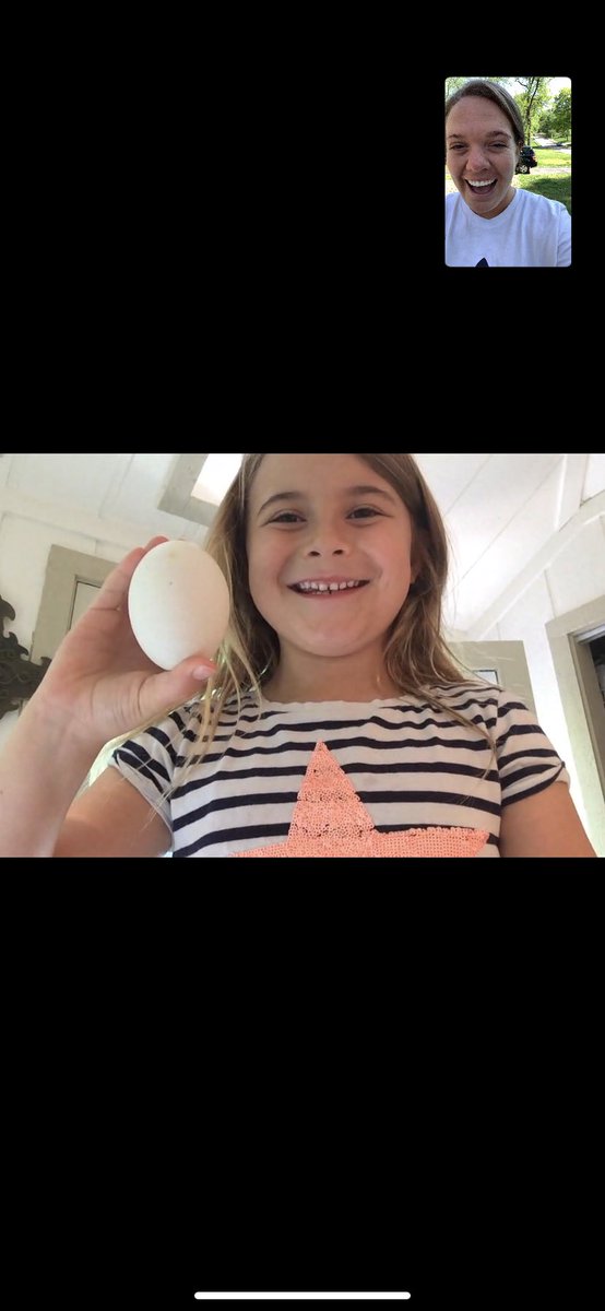 Just got a FaceTime from a student so she could tell me her connection she made to our read aloud, The Wild Robot - she found a goose egg just like in our book! I love how excited they get to make connections to what they are reading!