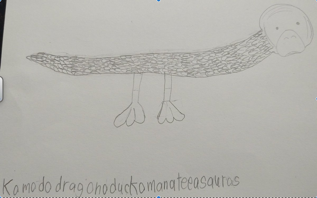 WSESartmosphere's tweet photo. A 4th grader from Ms.Hirst's class was creative today!  He invented a NEW species of animal:  the Komonodragonduckomanatee-asaurus!  Students like this knock the 5C choice boards out of the park at #WSESSmithfield #WestsideBestside 5C boards found at https://t.co/l3iCDKGfo2 https://t.co/oBl0tYlGgH