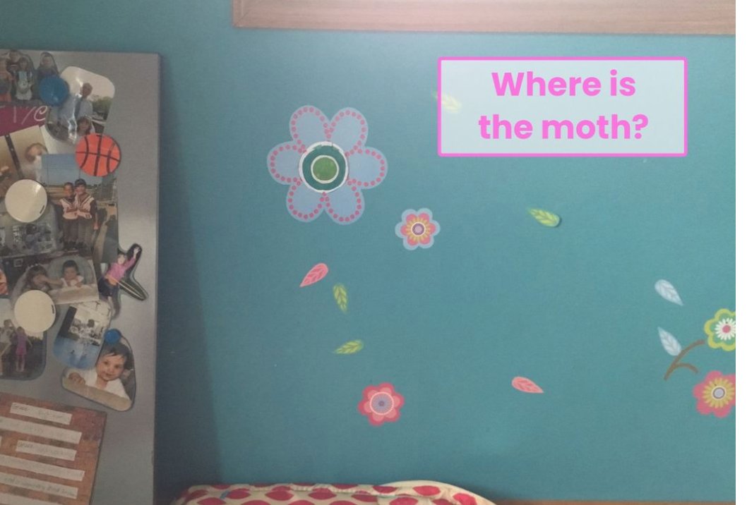 Soaring Eagle 102 tweet media