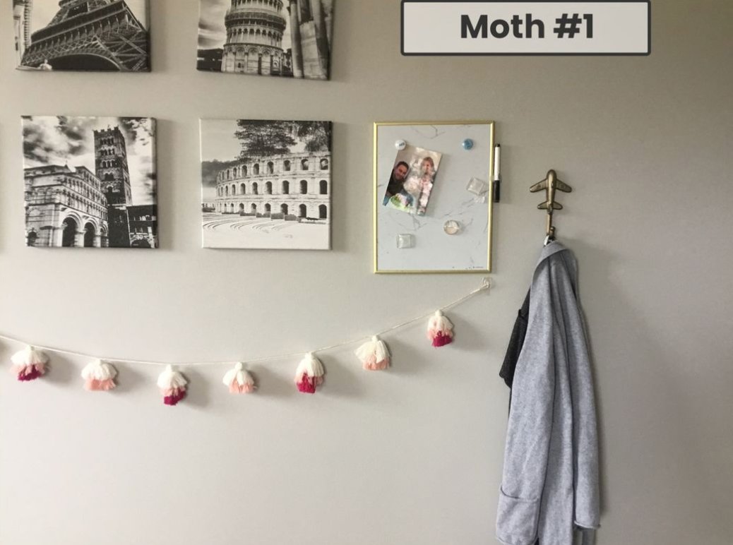 Soaring Eagle 102 tweet media