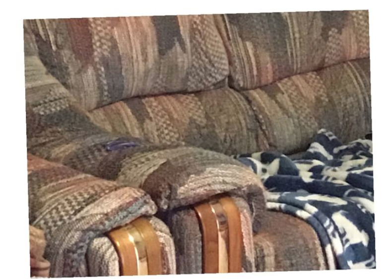 Soaring Eagle 102 tweet media