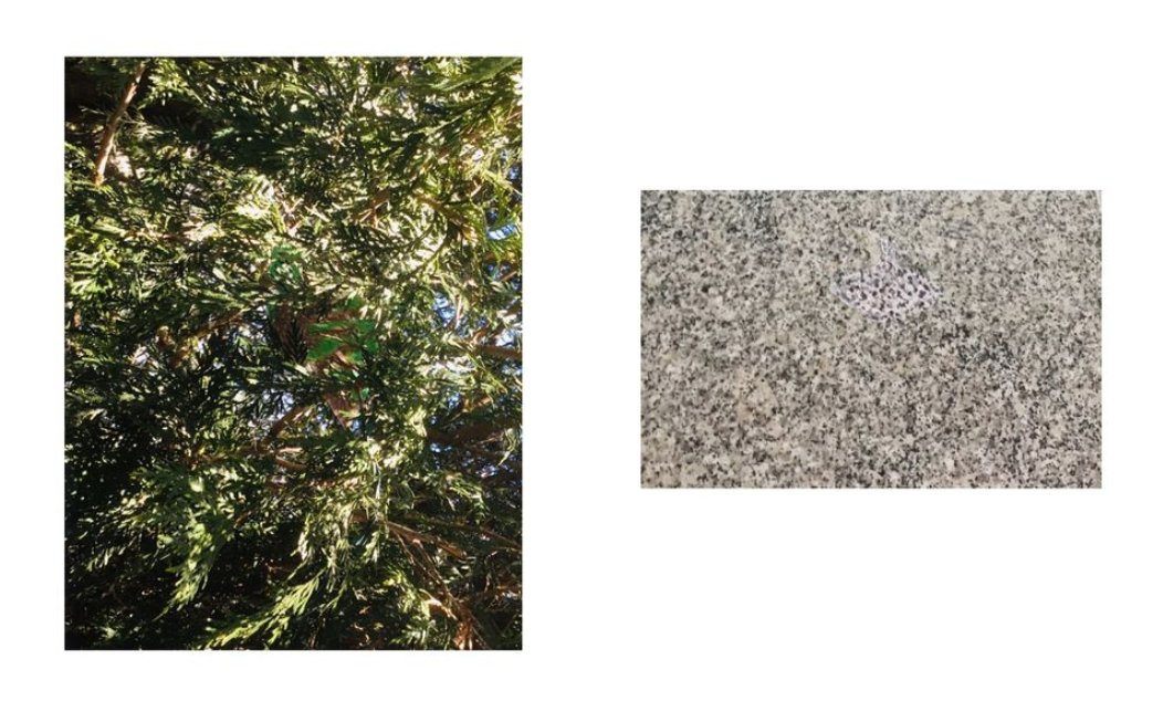 Soaring Eagle 102 tweet media