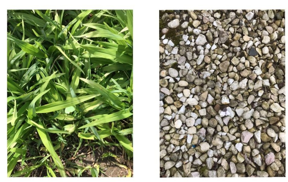 Soaring Eagle 102 tweet media