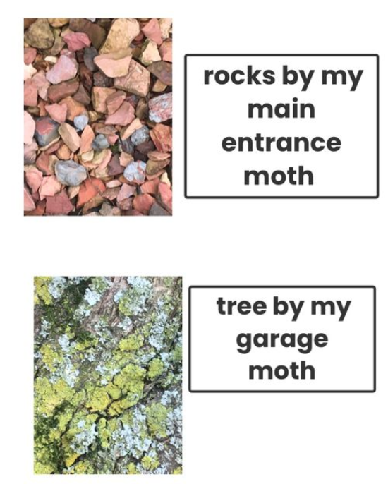 Soaring Eagle 102 tweet media