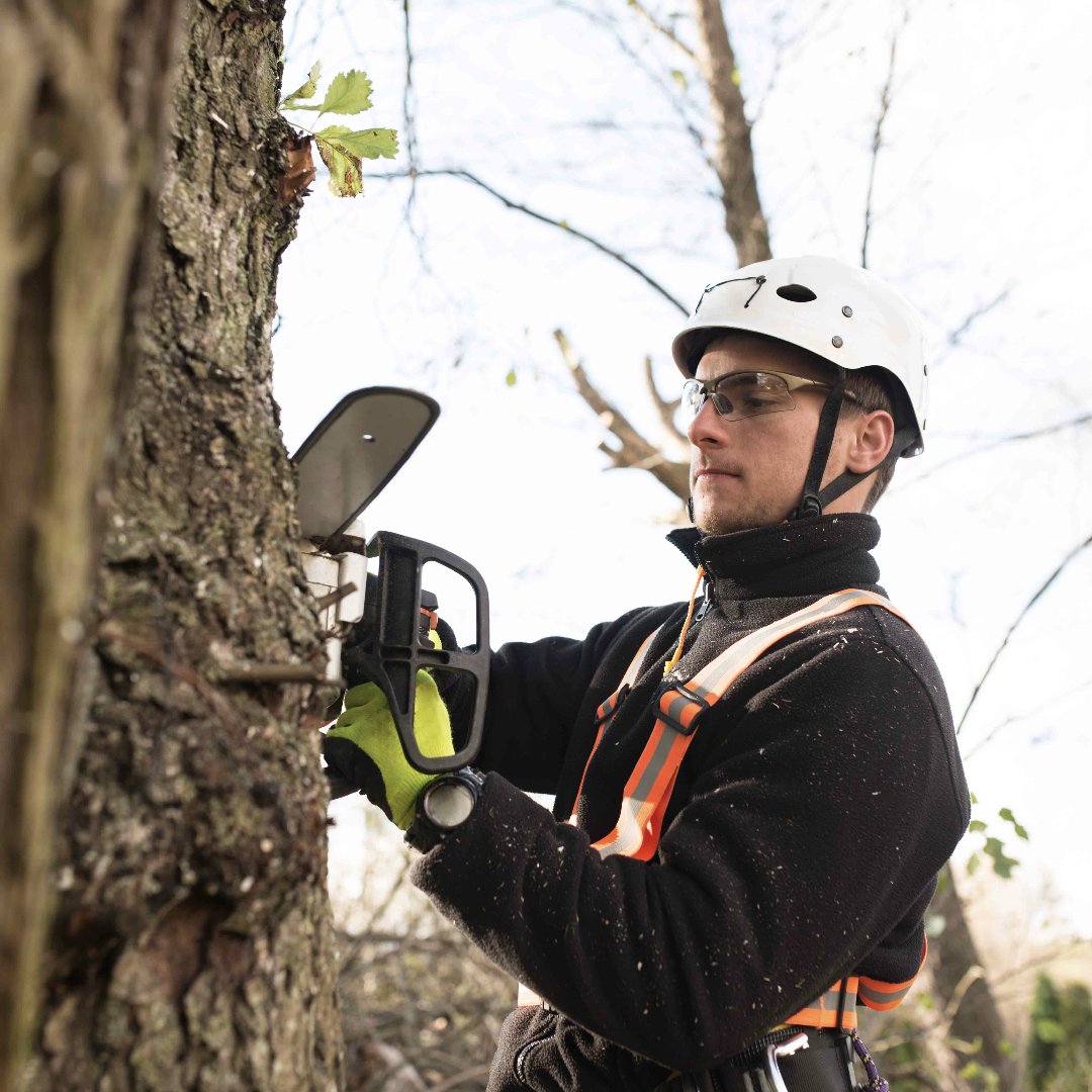 WhyILandscape's tweet photo. About to graduate from college and wondering what type of industry positions are available for you? 🎓 Discover landscape career options for those with relevant college degrees — like arborists, estimators, landscape designers and project managers. https://t.co/A2BWQuI7yr https://t.co/efSnPq1dbx