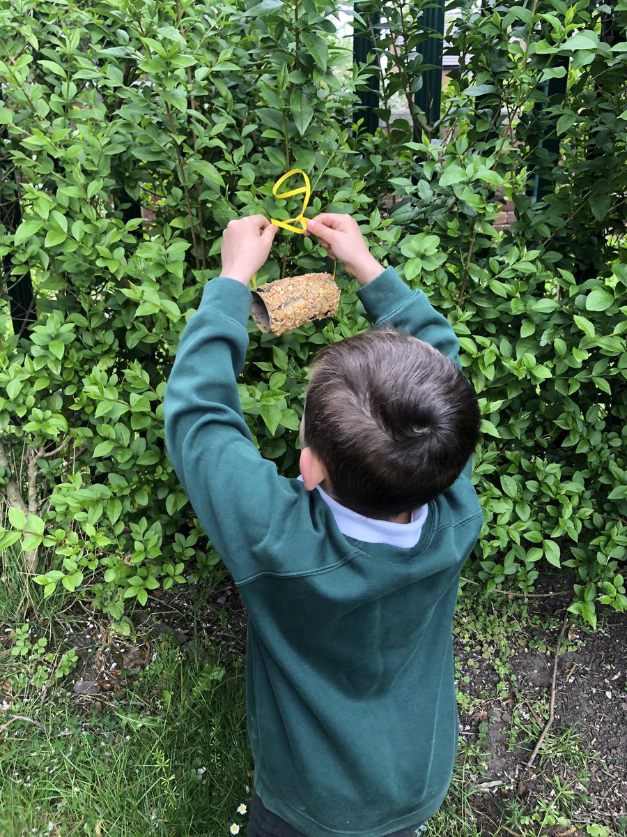 ROrchardpa's tweet photo. We had a great time making bird feeders at school today. The birds in our playground are going to be very happy! #OPAenvironmentweek #OPAwildlifewatch @OrchardPrimaryA https://t.co/tnPin54UYf