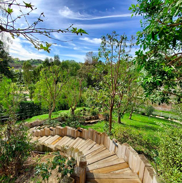 LAsBestTreeSer1's tweet photo. The tree experts around Los Angeles!!
Call us for a free estimate!

☎️ (424) 404-8557
https://t.co/gb4oiR2w3j

#labesttreeservice #highqualitytreeserviceslosangeles #losangelestreeservices #treeservicesla #latreeservices https://t.co/Czdn4IONJR