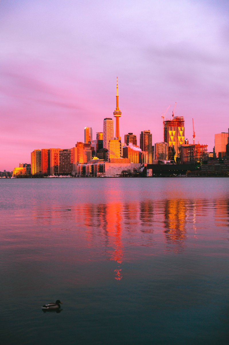 Toronto's tweet photo. Good Day, Sunshine! 🌞
#Toronto 📸 c/o @idillmohamed🙏🏼 https://t.co/lOnVqS9QHw