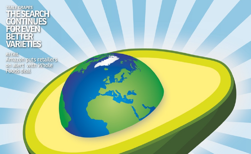 mikefruitnet's tweet photo. Another awesome @eurofruit #coverdesign… In July 2017, we analysed the rapidly expanding #avocado market and predicted category growth for ripe-and-ready, with expert comment from Frans Timmers @TheGreenerybv, Ligia Falanghe @avocadojaguacy and Sarah Hellemans of Special Fruit. https://t.co/jAojdwgbRB