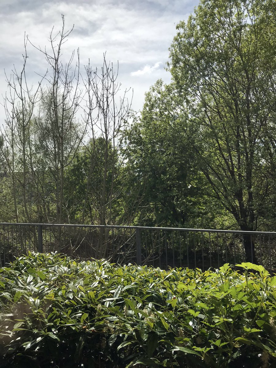 Studio_Bim's tweet photo. @CaseyRutland @snowyweston I am fortune enough to have a window... this picture flatters the view though!! 🤣 #WFHWindows https://t.co/u6ELOmMd2Z