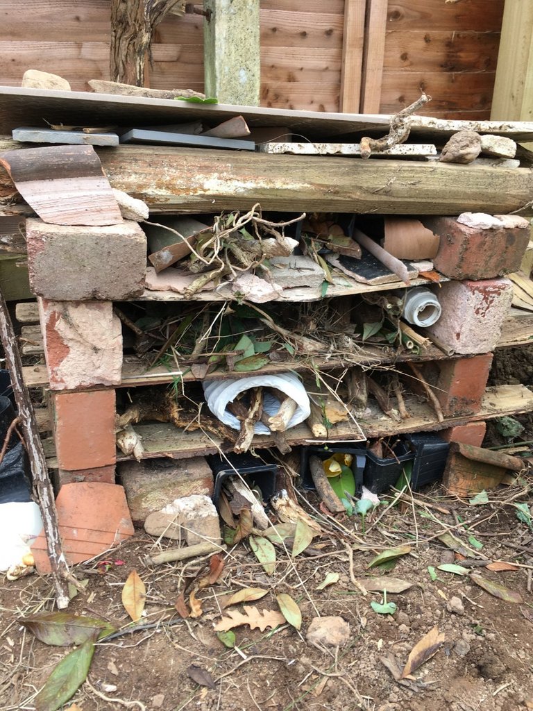 A big well done to Shabnam and her children for building a mini pond and a bug hotel! They now have damsel flies developing in the mini pond (which is made from an old washing up bowl). Find out how to get your outside space buzzing here: buff.ly/2VGoeDD #actionforinsects