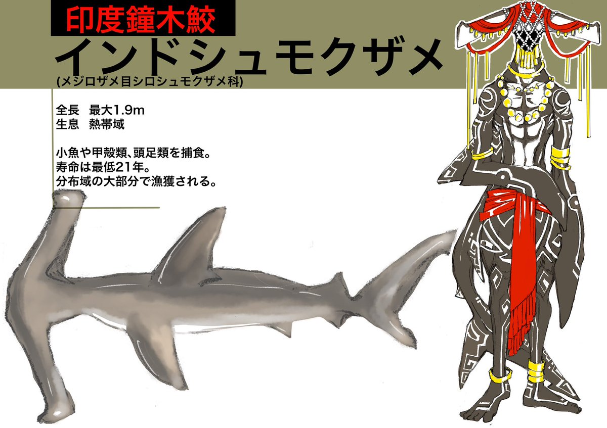 サメ軍擬人化
アブラツノザメお腹へる〜
(*'-`)

#稲羽事変
#サメ 