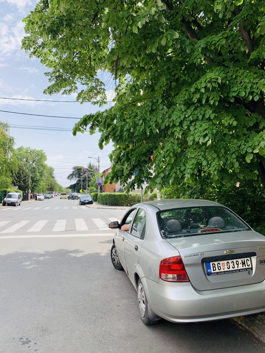 ErickKasell's tweet photo. @prijavi_problem ulica belo vrelo i palisadska. Stop znak se ne vidi vec godinama tokom celog leta. A u blizini je i skola. Hvala unapred https://t.co/wkNR6XbN3R