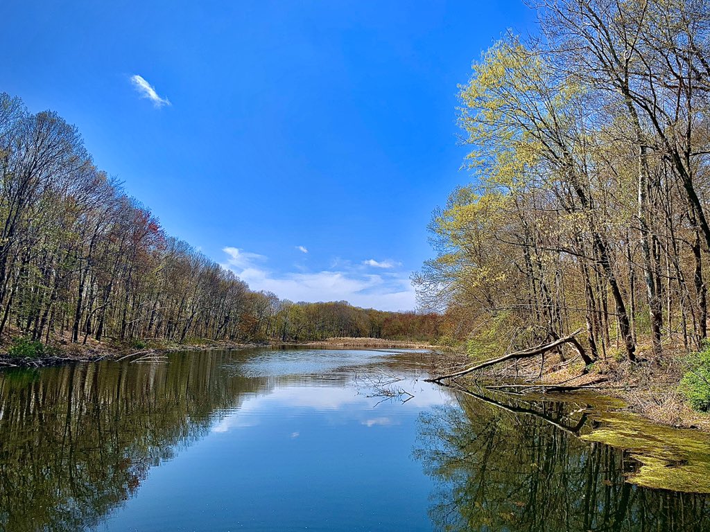 BSPinsurance's tweet photo. Beautiful day for a #hike in #Connecticut https://t.co/IF1e8gemOf