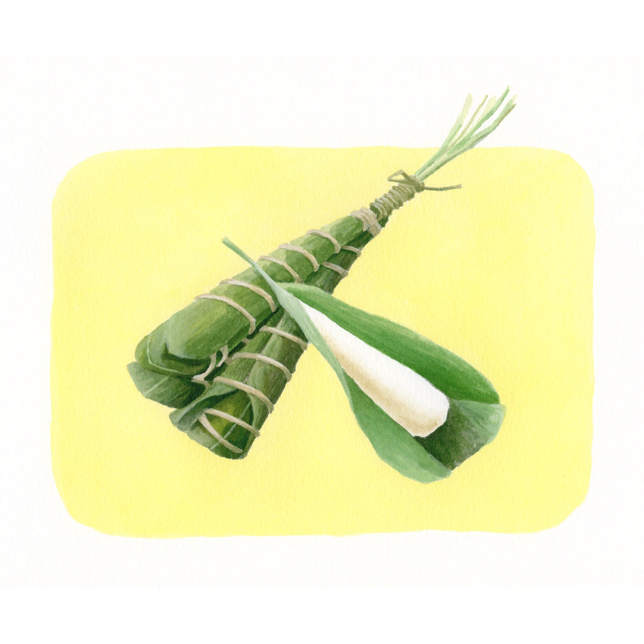 Akiko Watanabe Twitterissa 柏餅 ちまき 過去作から Illustration Illust Illustrator Painting Art Artwork Design Japanesesweets Wagashi Lifestyle イラスト イラストレーション イラストレーター デザイン 柏餅 ちまき 粽 和菓子 お菓子