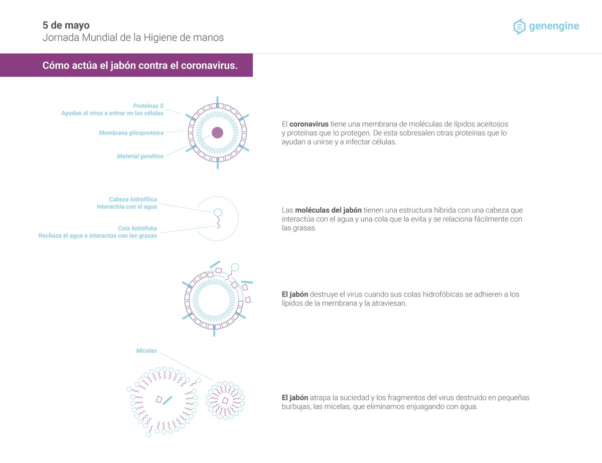 genengine tweet media