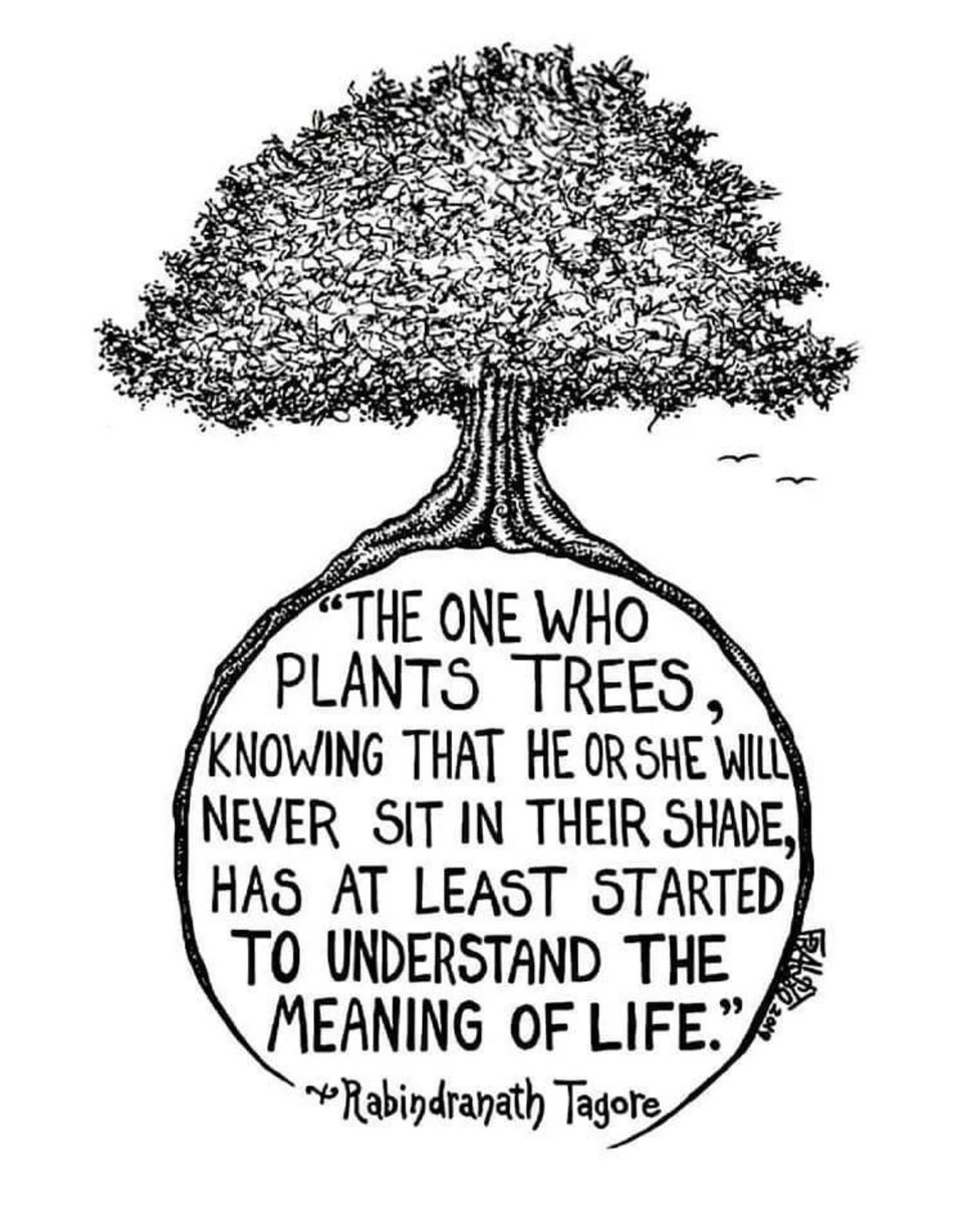 FoxFedPro's tweet image. A shout out this week to our Federal Programs Staff! Title I Reading &amp;amp; Math, &amp;amp; ELL Educators! Thank you for supporting our students in the Fox C-6 School District! #TeacherAppreciationWeek2020