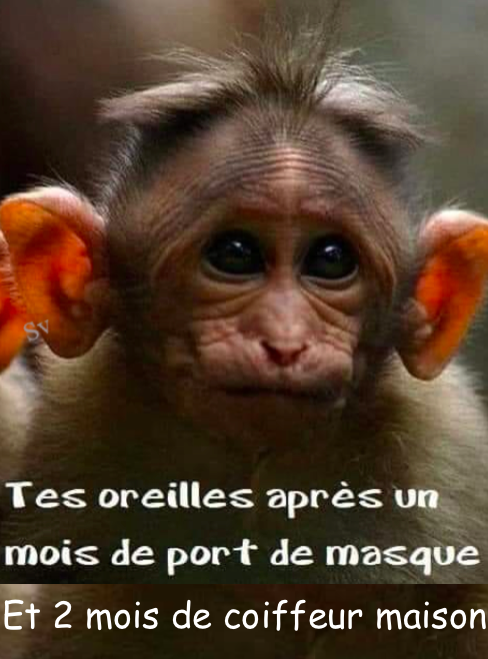 pascalaunay tweet picture