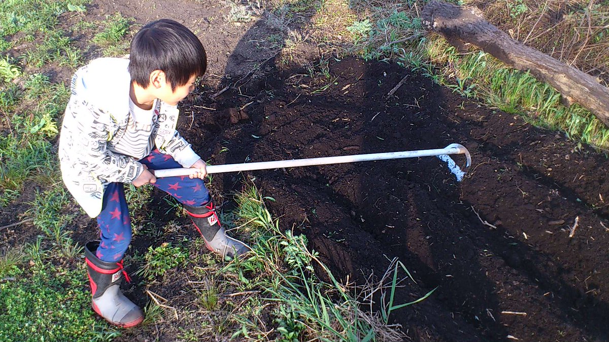 しものり ジャングルを畑に 野菜作りは土作り この畑の土は 泥炭 でいたん と呼ばれる炭と泥が混ざった土 で 少し掘ると粘土のような土が出てくる 酸性が強く野菜作りに向かない土質 野菜作りの難しさを感じる 家庭菜園 無農薬栽培