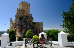 Casa Olea tweet media